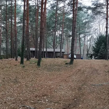 Ferienhaus Waldhütte Ferch Schwielowsee