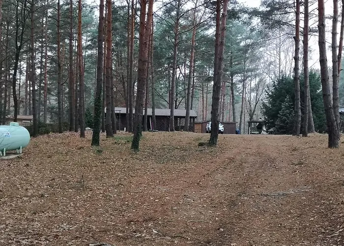 Semesterbostad Waldhuette Ferch Schwielowsee